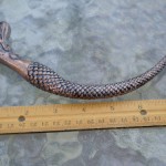 osg-copper-mermaid-tube-measurement