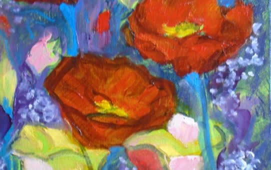 giftsbynaomi red poppies remembrance